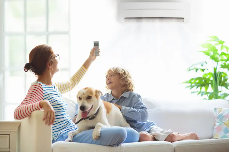 Mini-Split vs. Heat Pumps: Understanding the Differences